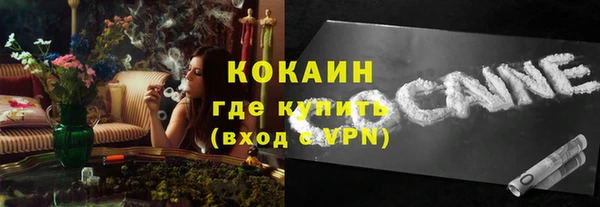 дживик Козельск