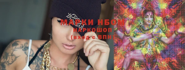 дживик Козельск
